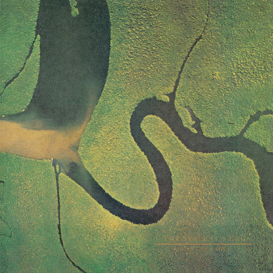 Dead Can Dance : The Serpent's Egg (LP,Album,Reissue)