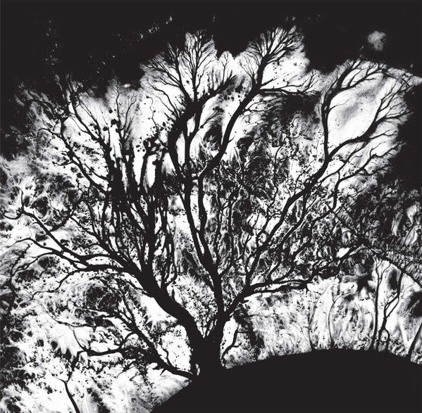 Dead Can Dance : The Serpent's Egg (LP,Album,Reissue)